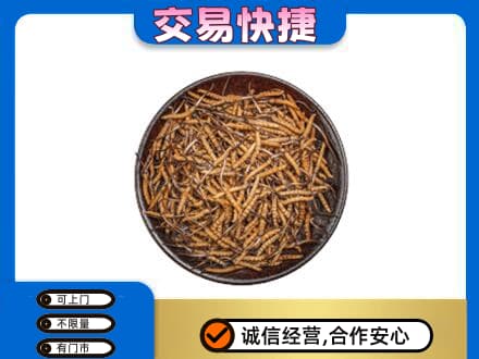 市中区高价回收散虫草
